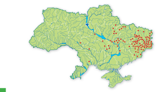 Карта распространения Тюльпан дубравный в Украине